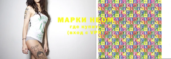 прущие грибы Лабытнанги