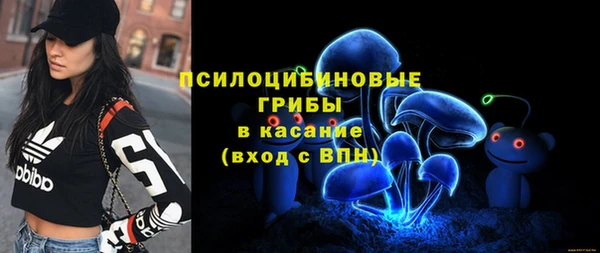 прущие грибы Липки