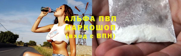 прущие грибы Липки