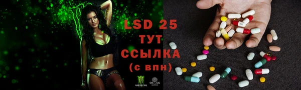прущие грибы Липки