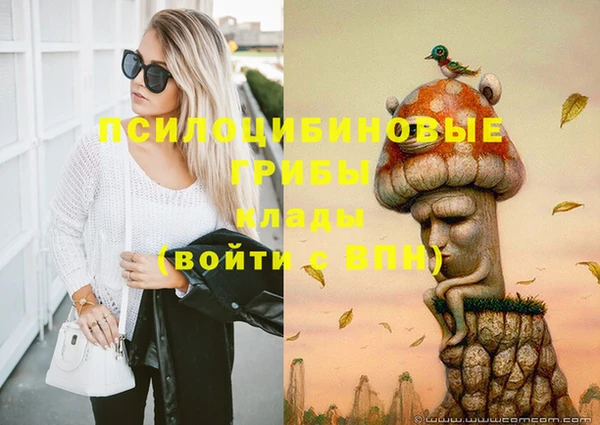 бошки Лихославль