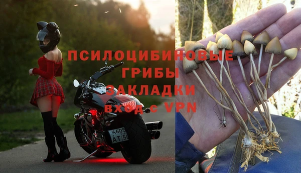 бошки Лихославль