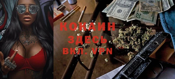 прущие грибы Липки