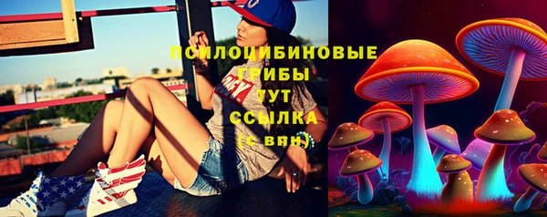 прущая мука Лиски