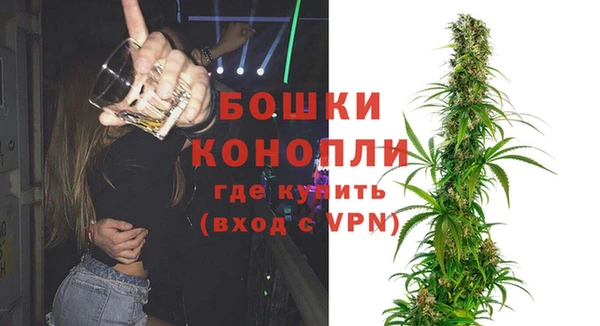 индика Нижний Тагил