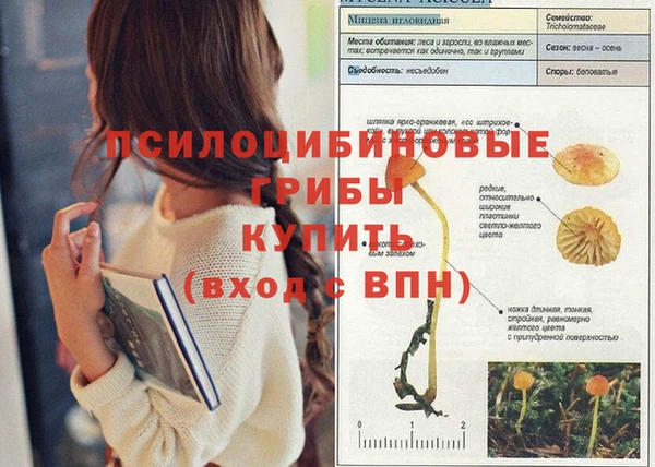 прущая мука Лиски