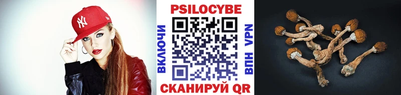 как найти kraken ТОР Псилоцибиновые грибы Psilocybe Стерлитамак
