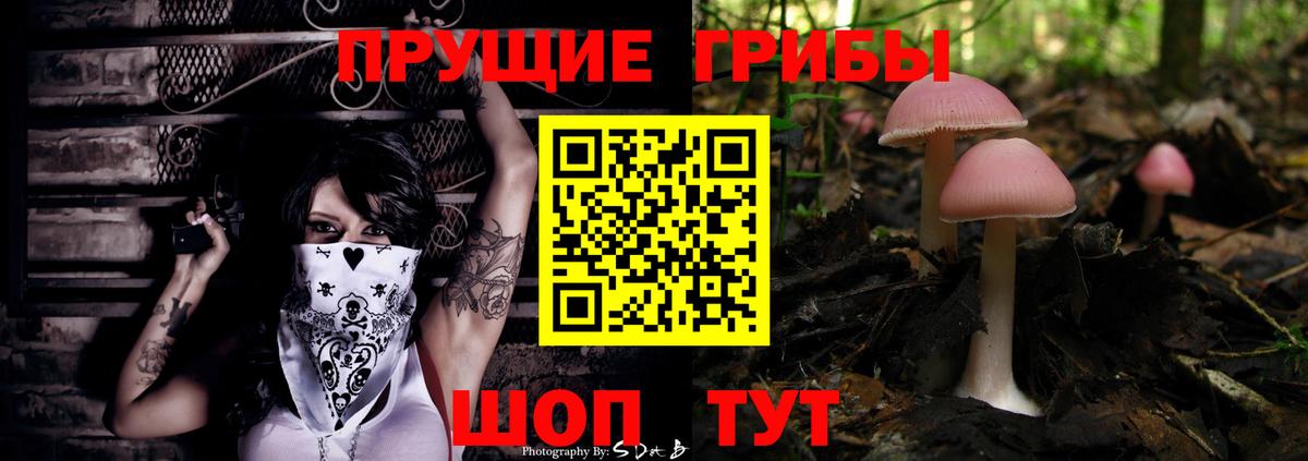 Галлюциногенные грибы мухоморы Стерлитамак