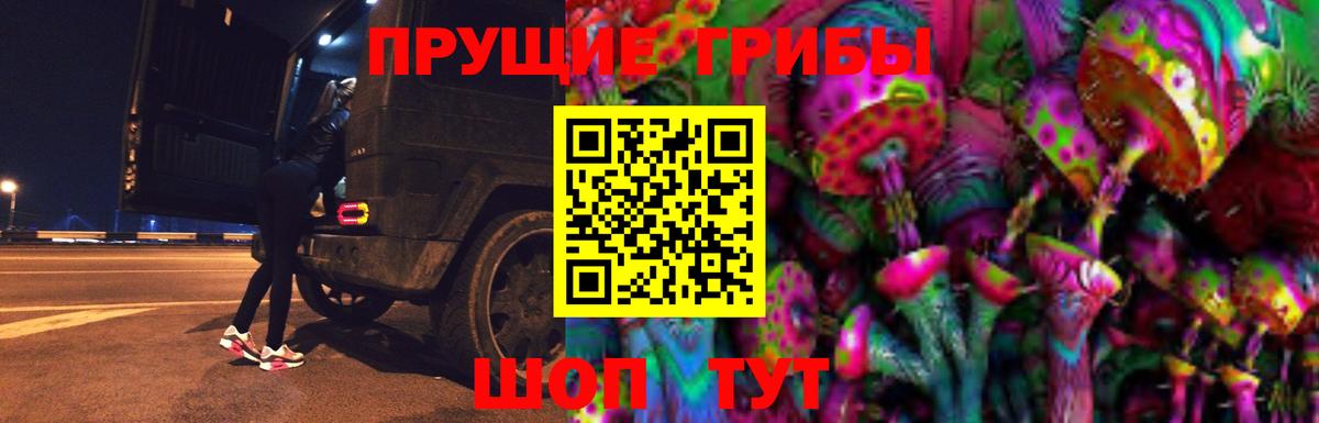 Псилоцибиновые грибы Magic Shrooms  Галлюциногенные грибы Cubensis  Вход с VPN  Стерлитамак 